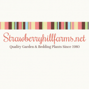 Strawberry Hill Farms