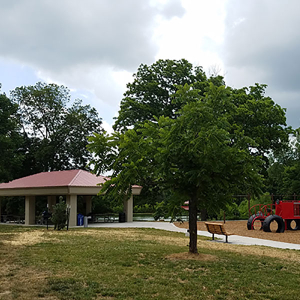 Nifong Park Nifong Park