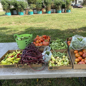 Columbia Community Garden Coalition Columbia Community Garden Coalition